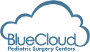 Blue Cloud logo