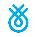 Flinks logo