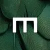 Meyn Food Processing Technology B.V. logo
