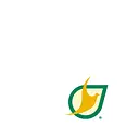 Serfunllanos logo