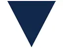 VALiNTRY logo