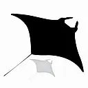 The Manta Trust logo