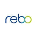 Rebo Lighting & Electronics logo
