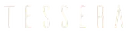 Tessera Human Capital logo
