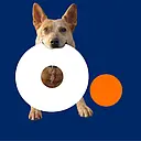 Altice USA logo