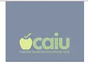 Capital Area Intermediate Unit logo