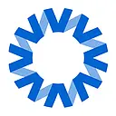 National Vision logo