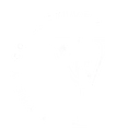 The Y Collective logo