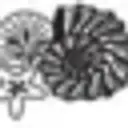 Darlene Liebman logo