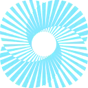 U.S. Chamber of Commerce logo