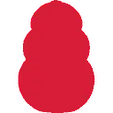 KONG logo