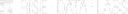 Rise Data Labs logo