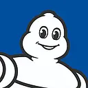 Michelin Reifenwerke Ag E Co. Kgaa logo