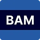 BAM Technologies logo