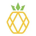 
      Pineapple | Virtual Assistant Hub
     logo