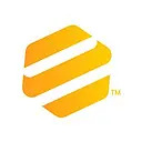 ENDO INTERNATIONAL PLC logo