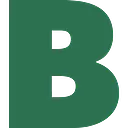 Braun Intertec Corporation logo
