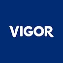 Vigor, LLC logo