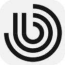 Brightscout logo