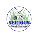 Serious Solution LLC logo