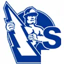 SAMSON ELECTRICAL SUPPLY logo