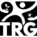 The Robert Leo Group logo