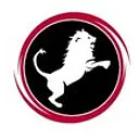 Nemean Solutions, LLC logo