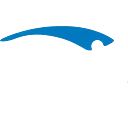 HSI logo