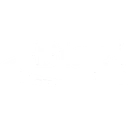 BIAGI BROS logo