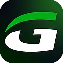 
      GOLFTEC Intellectual Property LLC
     logo