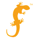 Salamander Solutions logo