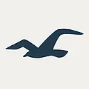 Hollister-Whitney logo