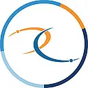 Chartis Federal logo