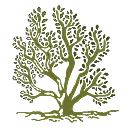 Saltbush Social Enterprises Limited logo