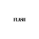 FLASH Inc logo