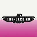 Thunderbird Equipment Service logo