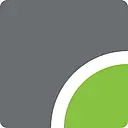 Rasilient Systems logo