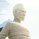 The GIANT Company logo
