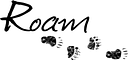 Roam Transit logo