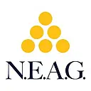 New England Appliance Group logo