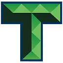 Team Services, LLC logo