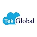 Tek Global logo