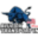 Blue Ox Transport Inc. logo