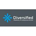 D. Diversified Services, Inc. logo