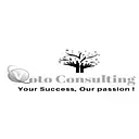 Voto Consulting LLC logo