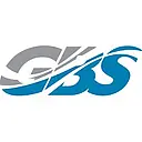 Global Business Solutions LLC logo