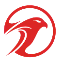 Falcons Deliveries LLC logo