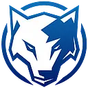 Lobo negro logistics logo