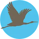 YoloCares logo