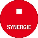 Synergie France logo